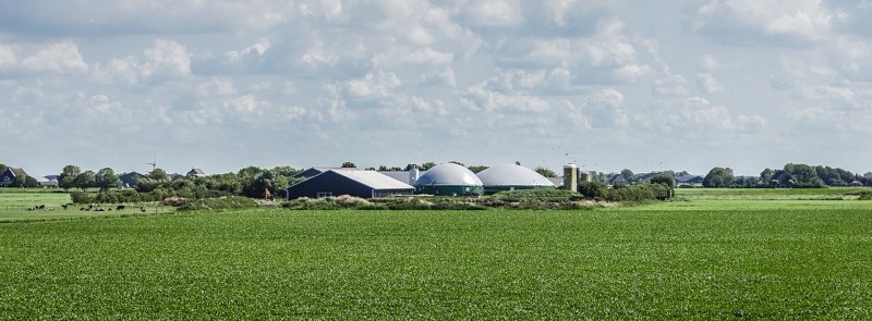 A dike beneath a broad sky in the northern Netherlands
